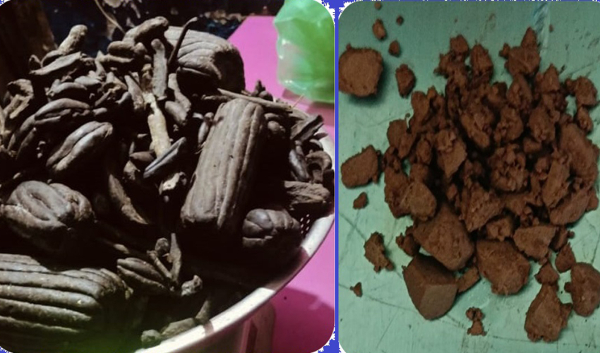 कञ्चनपुरमा चरेश र खैरो हेरोइनसहित एक किशोरी र युवक पक्राउ