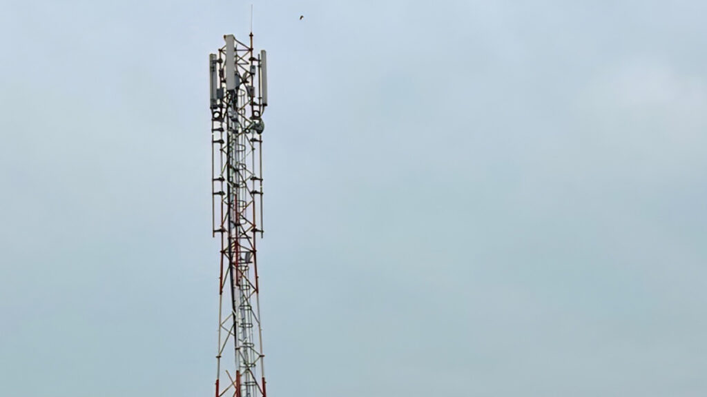 एनसेलद्वारा ११ दिनमा २६ नयाँ टावर सञ्चालन, फोरजी सेवा विस्तार