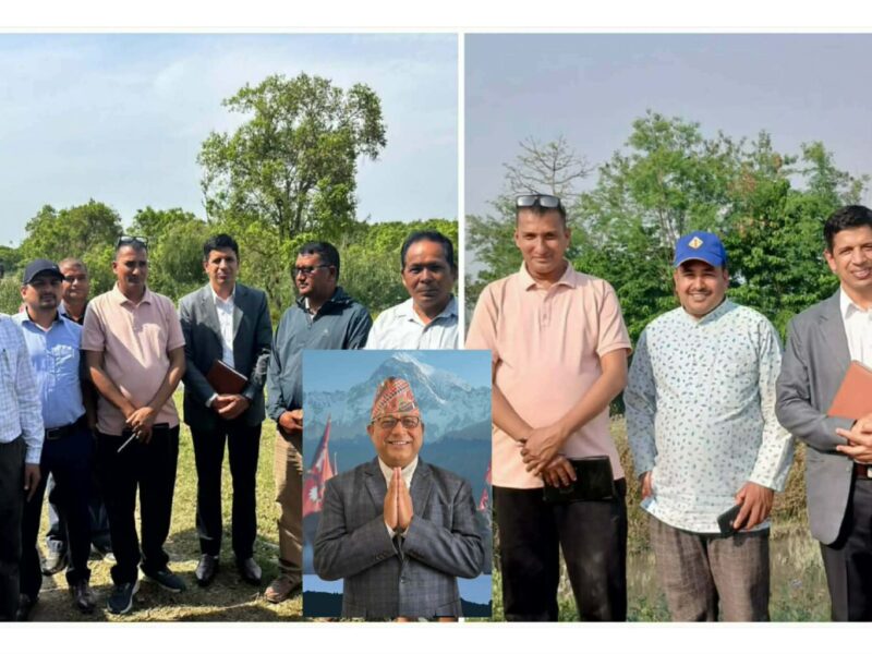 कञ्चनपुर-१ का सांसद धामीले पठाए चाैधर नदि नियन्त्रणका लागी अध्यन गर्न कर्मचारीकाे टाेली फिल्डमा