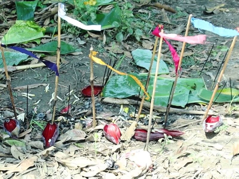 रानाथारु समुदायले धुमधामका साथ मनायो चराँई पर्व