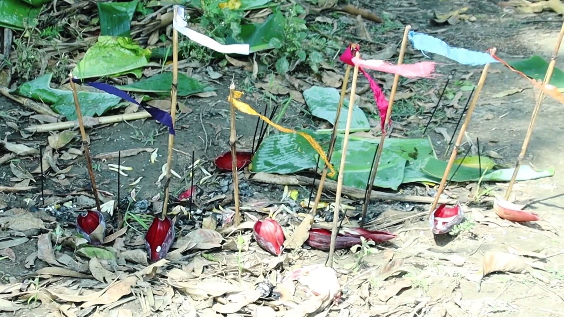 रानाथारु समुदायले धुमधामका साथ मनायो चराँई पर्व