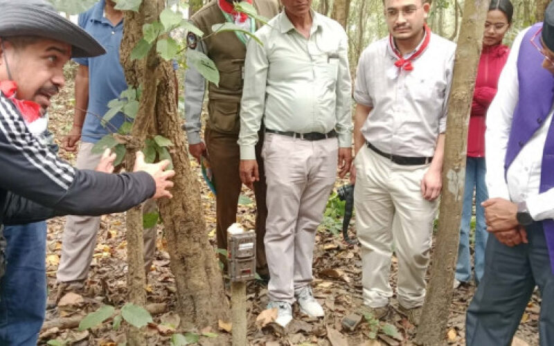 बाघ गणनामा प्रयोग गरिएका क्यामेरा र मेमोरी कार्ड चोरी: शुक्लाफाँटा-लालझाडी क्षेत्रमा सुरक्षा चुनौती