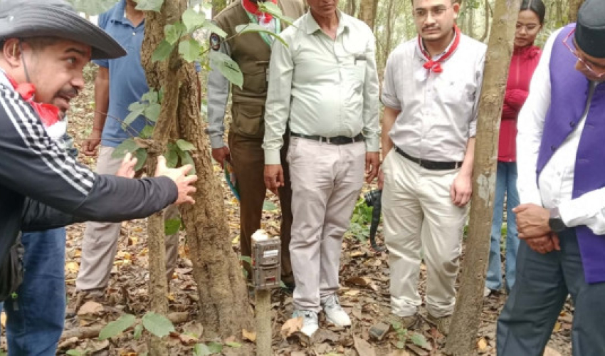 बाघ गणनामा प्रयोग गरिएका क्यामेरा र मेमोरी कार्ड चोरी: शुक्लाफाँटा-लालझाडी क्षेत्रमा सुरक्षा चुनौती