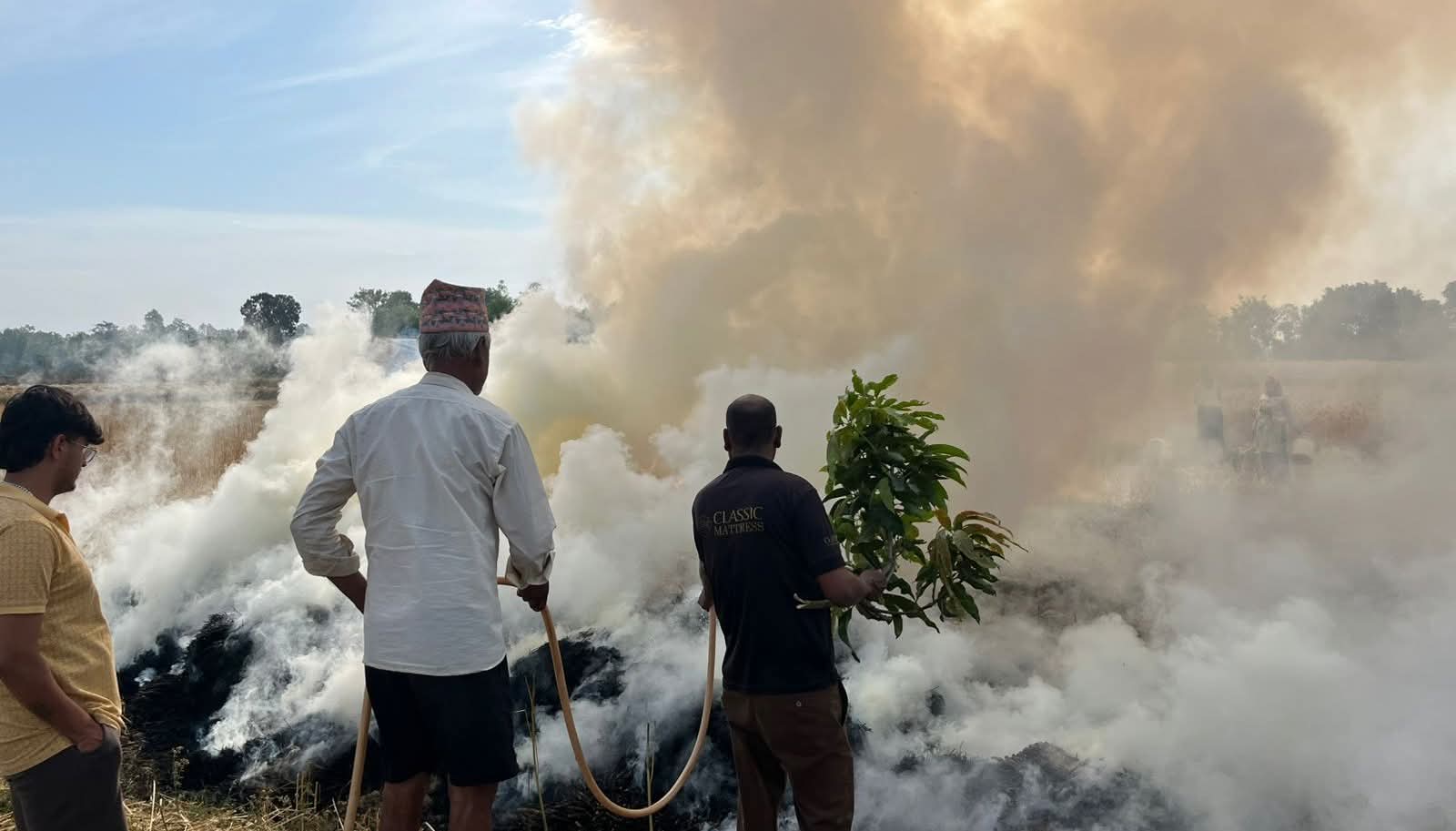 १० कट्ठाको खेती खरानी, पीडित परिवारमा खाद्य संकटको चिन्ता