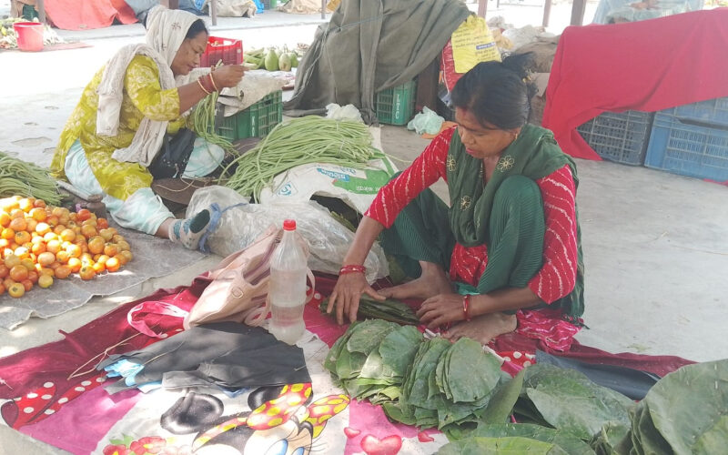 सालको पातबाट आत्मनिर्भर बन्दै धनगढीका महिला: घरखर्च कटाएर बचतसमेत गर्दै