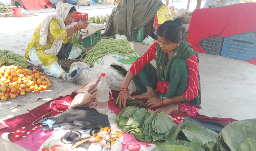 सालको पातबाट आत्मनिर्भर बन्दै धनगढीका महिला: घरखर्च कटाएर बचतसमेत गर्दै