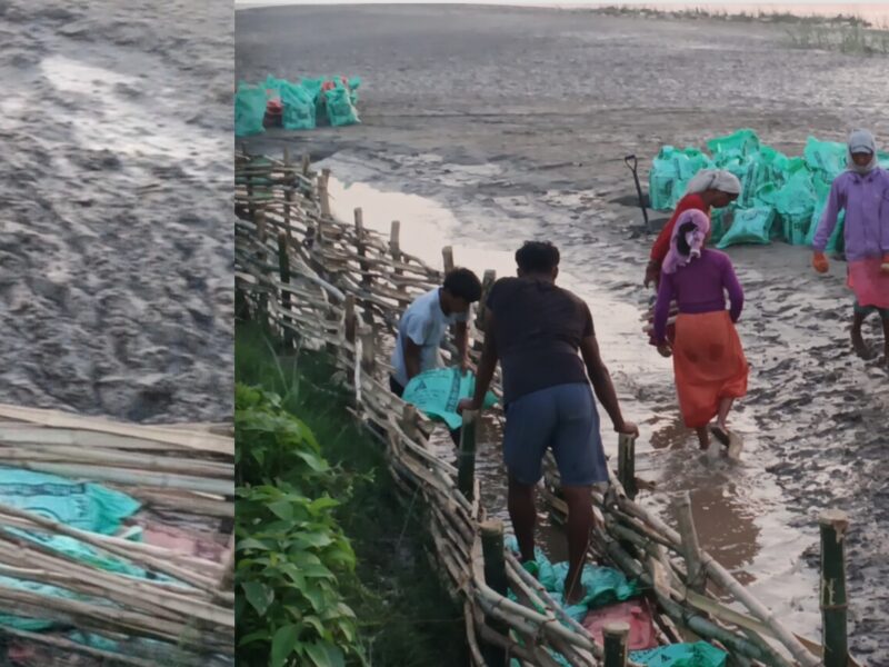 लालझाडी–४ मा ३५० मिटर जैविक तटबन्ध निर्माण अन्तिम चरणमा
