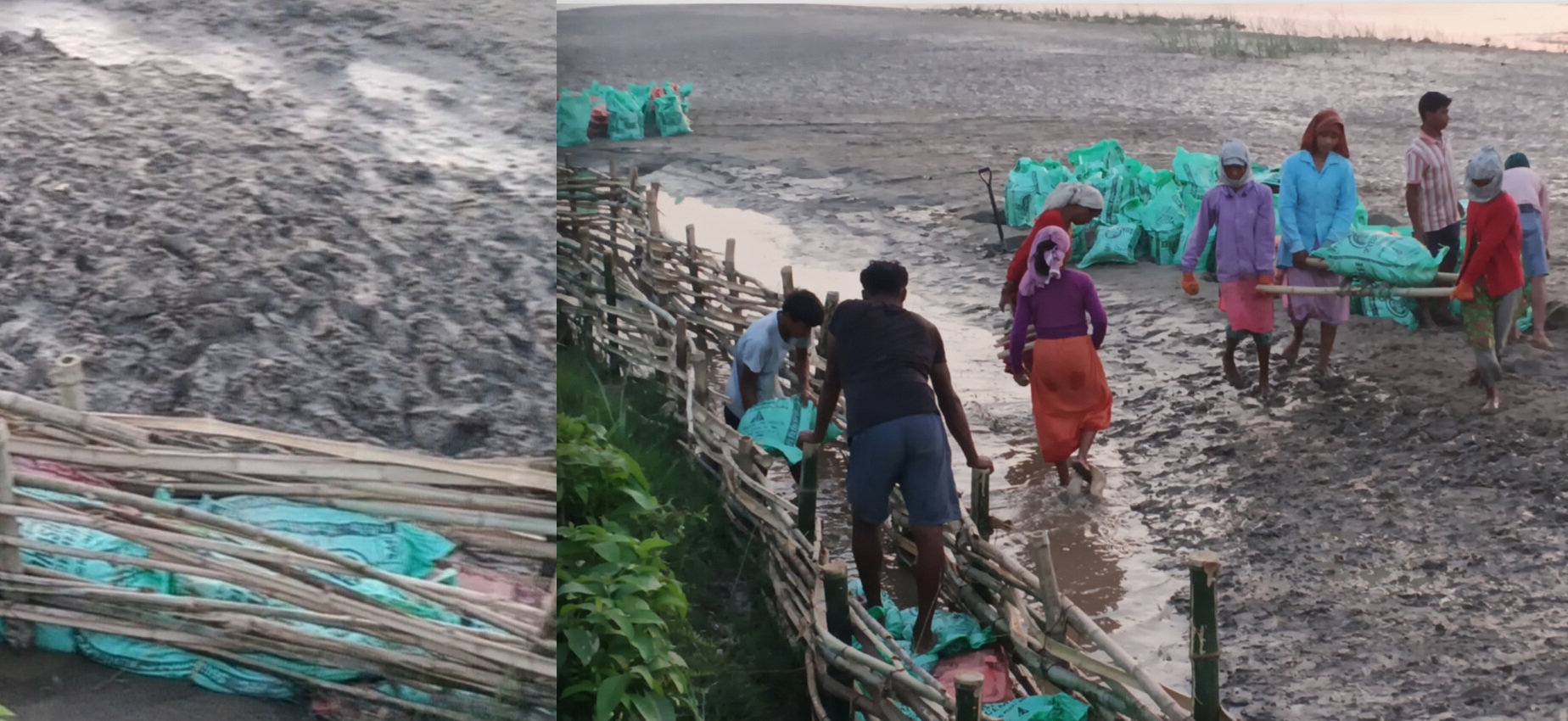 लालझाडी–४ मा ३५० मिटर जैविक तटबन्ध निर्माण अन्तिम चरणमा