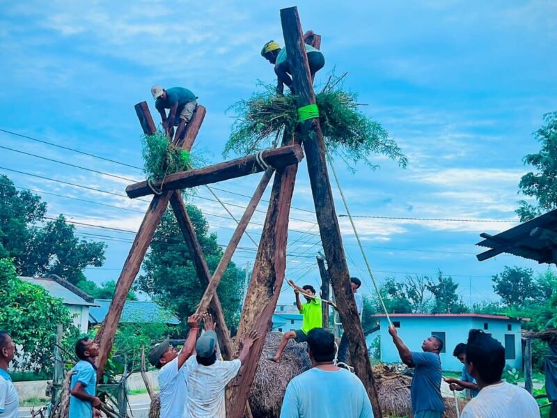 सामनको डोलामा झुल्दै, दाजुभाइ–दिदीबहिनीको स्नेह