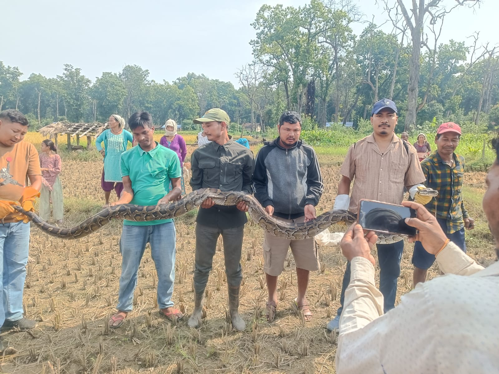 लालझाडीमा १५ फिट लामो अजिङ्गर फेला, सुरक्षित रूपमा जंगलमा छाडियो